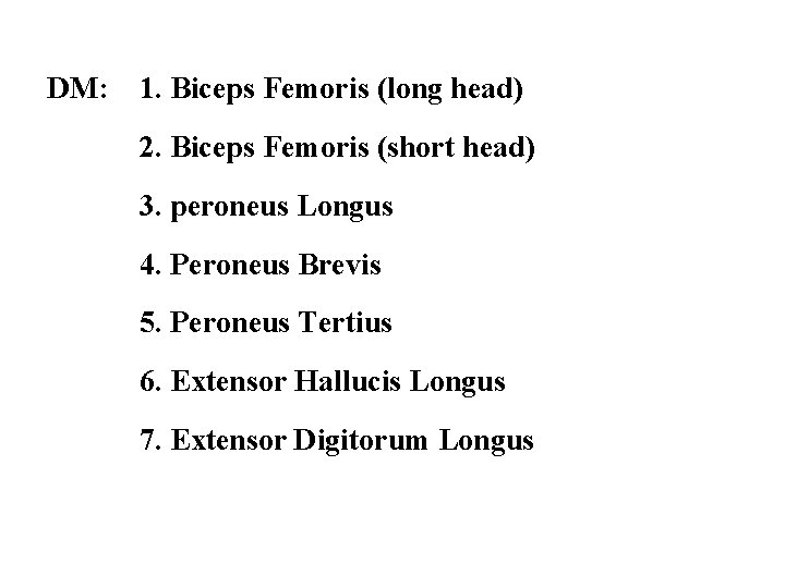 DM: 1. Biceps Femoris (long head) 2. Biceps Femoris (short head) 3. peroneus Longus