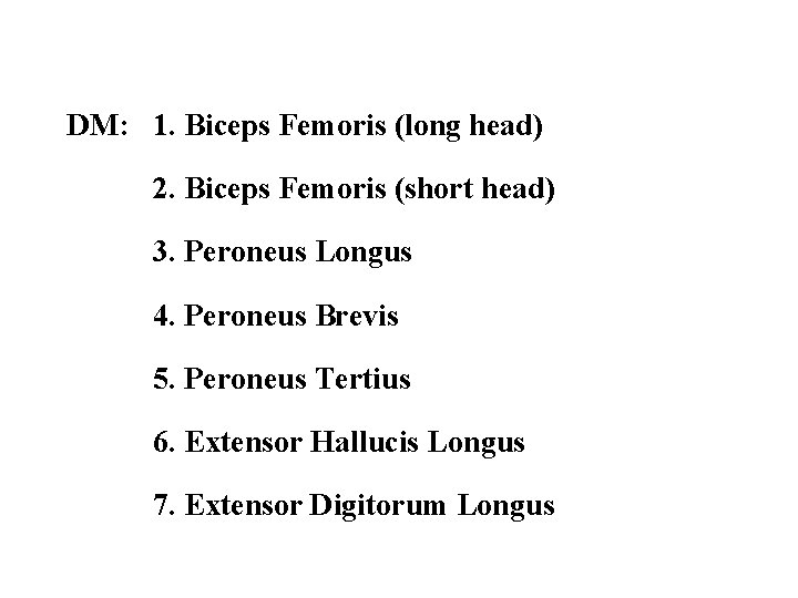 DM: 1. Biceps Femoris (long head) 2. Biceps Femoris (short head) 3. Peroneus Longus