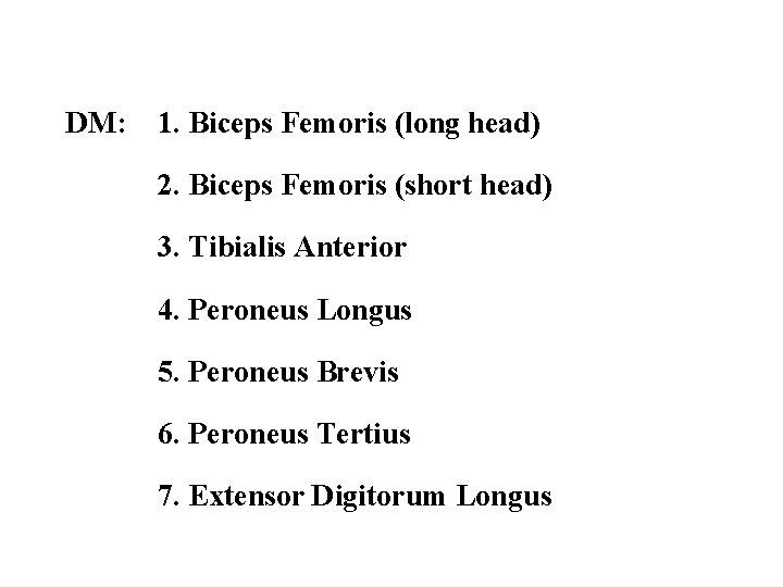 DM: 1. Biceps Femoris (long head) 2. Biceps Femoris (short head) 3. Tibialis Anterior