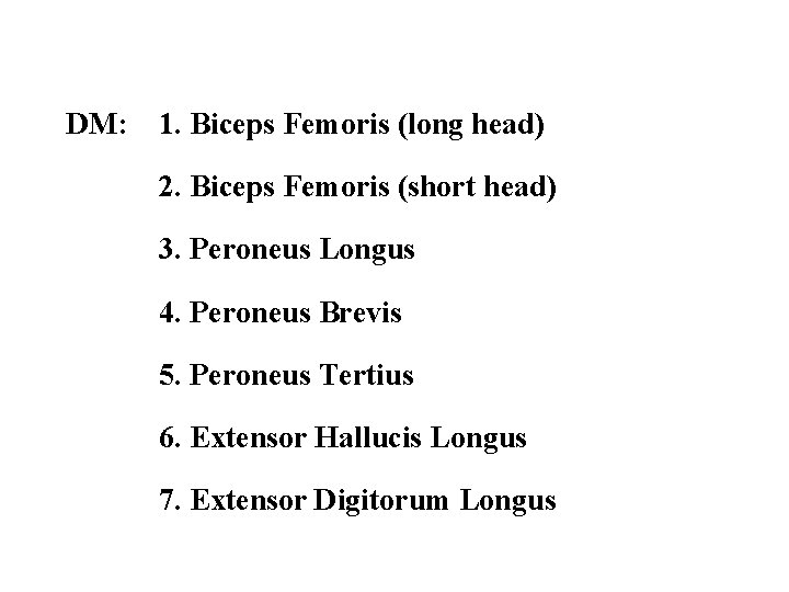 DM: 1. Biceps Femoris (long head) 2. Biceps Femoris (short head) 3. Peroneus Longus