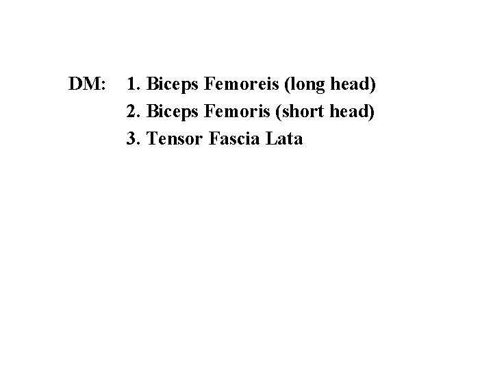DM: 1. Biceps Femoreis (long head) 2. Biceps Femoris (short head) 3. Tensor Fascia