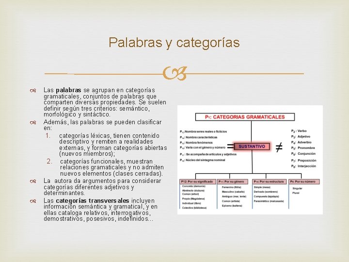 Palabras y categorías Las palabras se agrupan en categorías gramaticales, conjuntos de palabras que