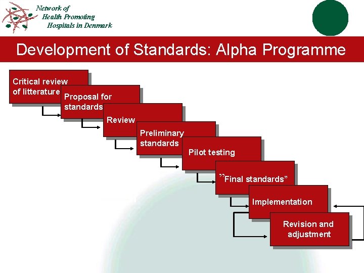 Network of Health Promoting Hospitals in Denmark Development of Standards: Alpha Programme Critical review