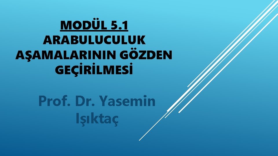 MODÜL 5. 1 ARABULUCULUK AŞAMALARININ GÖZDEN GEÇİRİLMESİ Prof. Dr. Yasemin Işıktaç 