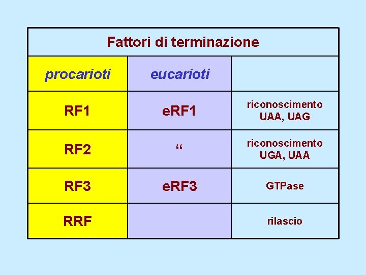 Fattori di terminazione procarioti eucarioti RF 1 e. RF 1 riconoscimento UAA, UAG RF