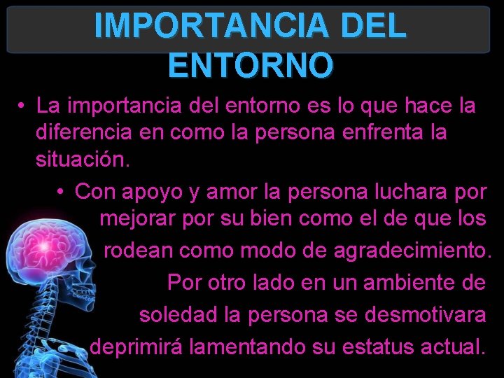 IMPORTANCIA DEL ENTORNO • La importancia del entorno es lo que hace la diferencia