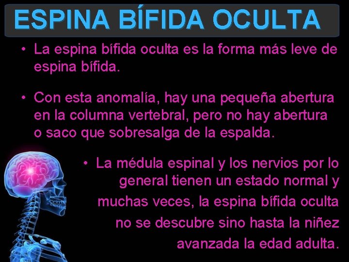 ESPINA BÍFIDA OCULTA • La espina bífida oculta es la forma más leve de