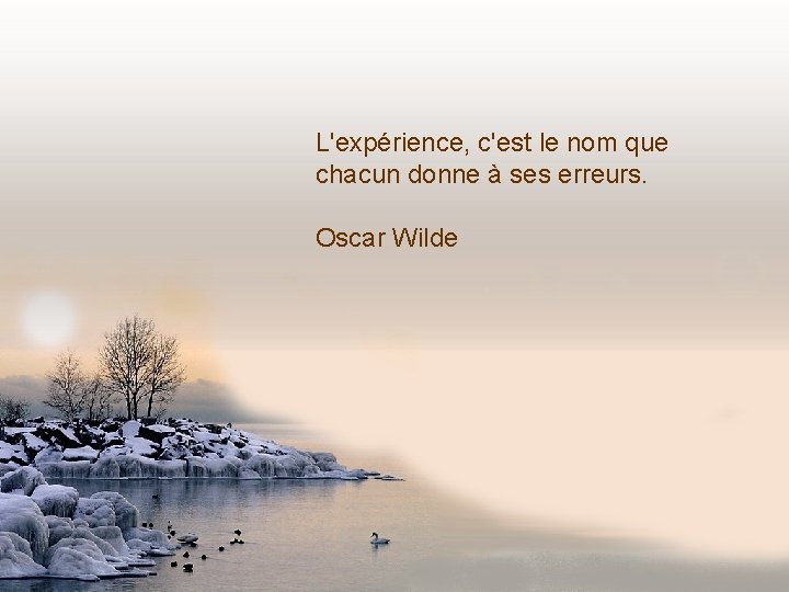 L'expérience, c'est le nom que chacun donne à ses erreurs. Oscar Wilde 