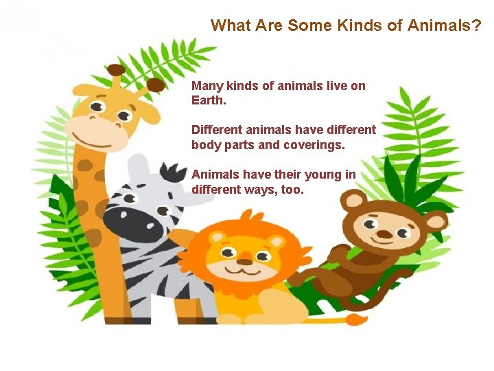 What Are Some Kinds of Animals? Many kinds of animals live on Earth. Different