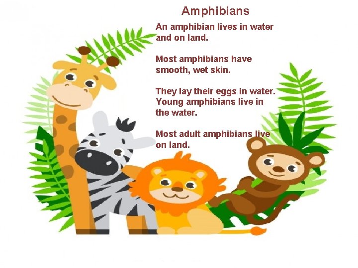 Amphibians An amphibian lives in water and on land. Most amphibians have smooth, wet