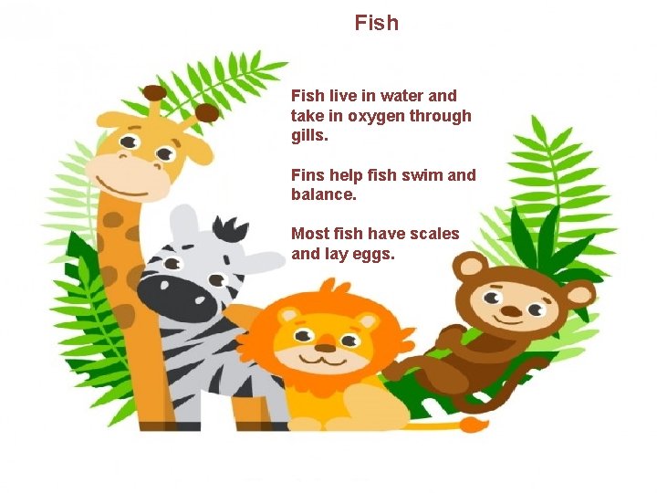 Fish live in water and take in oxygen through gills. Fins help fish swim