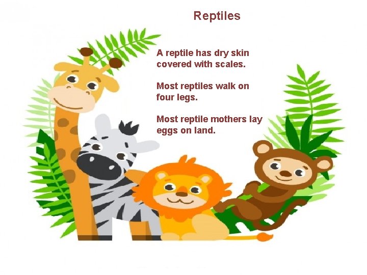 Reptiles A reptile has dry skin covered with scales. Most reptiles walk on four