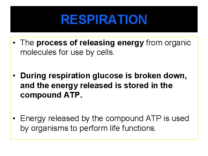 RESPIRATION • The process of releasing energy from organic molecules for use by cells.