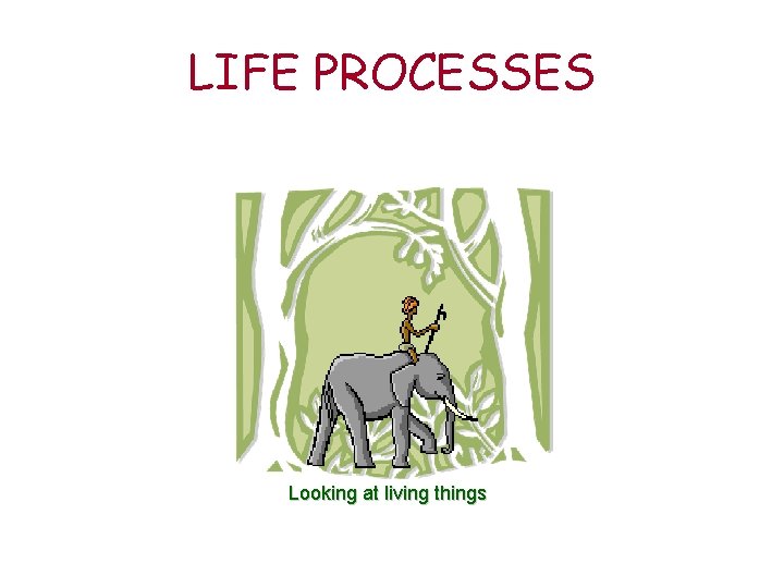LIFE PROCESSES Looking at living things 