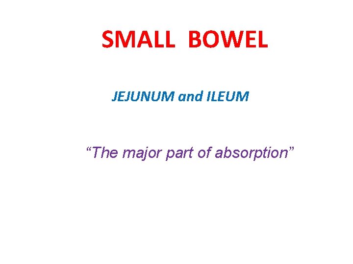 SMALL BOWEL JEJUNUM and ILEUM “The major part of absorption” 