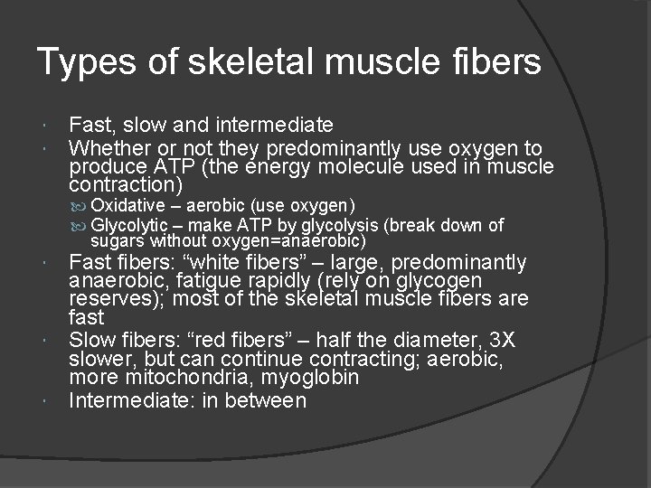 Types of skeletal muscle fibers Fast, slow and intermediate Whether or not they predominantly