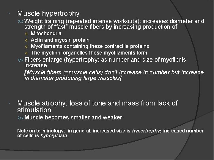 Muscle hypertrophy Weight training (repeated intense workouts): increases diameter and strength of “fast”