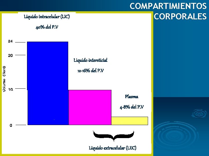 COMPARTIMIENTOS CORPORALES Liquido intracelular (LIC) 40% del P. V Liquido intersticial 12 -16% del
