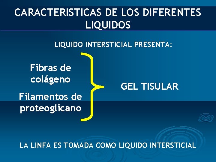 CARACTERISTICAS DE LOS DIFERENTES LIQUIDO INTERSTICIAL PRESENTA: Fibras de colágeno Filamentos de proteoglicano GEL