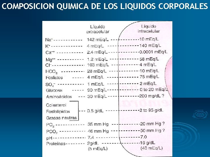 COMPOSICION QUIMICA DE LOS LIQUIDOS CORPORALES 