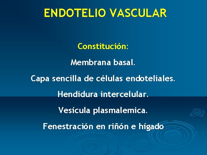 ENDOTELIO VASCULAR Constitución: Membrana basal. Capa sencilla de células endoteliales. Hendidura intercelular. Vesícula plasmalemica.