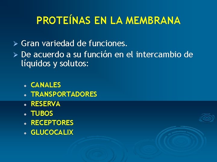 PROTEÍNAS EN LA MEMBRANA Gran variedad de funciones. Ø De acuerdo a su función