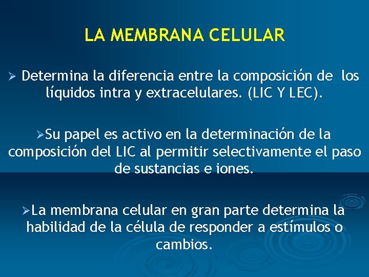 LA MEMBRANA CELULAR Ø Determina la diferencia entre la composición de los líquidos intra
