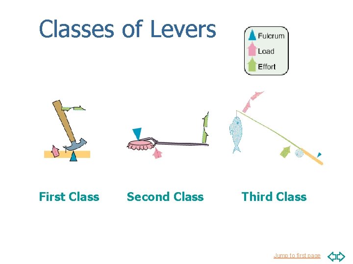 Classes of Levers First Class Second Class Third Class Jump to first page 