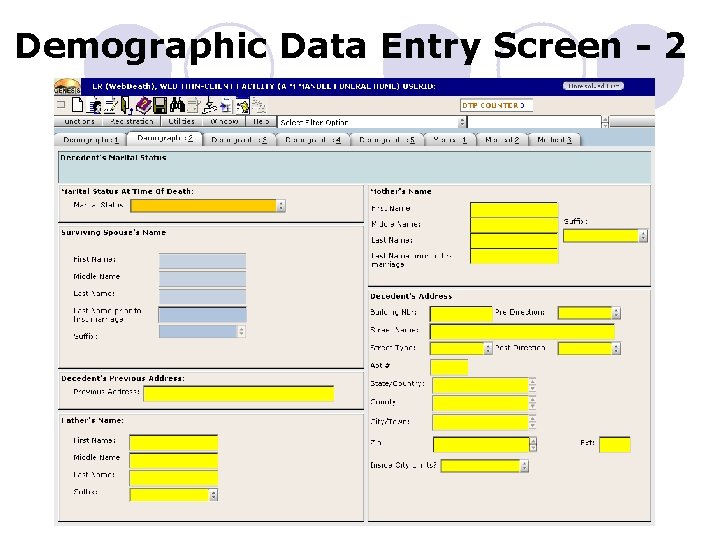 Demographic Data Entry Screen - 2 