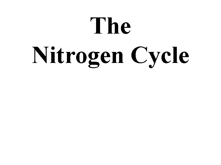 The Nitrogen Cycle 