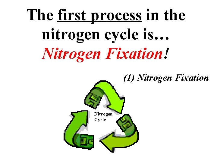 The first process in the nitrogen cycle is… Nitrogen Fixation! (1) Nitrogen Fixation Nitrogen