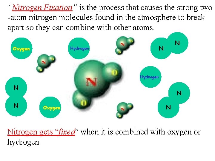 “Nitrogen Fixation” is the process that causes the strong two -atom nitrogen molecules found