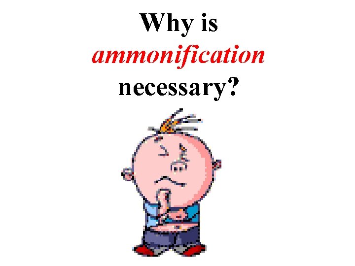 Why is ammonification necessary? 