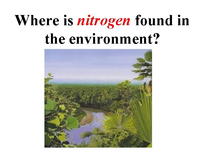 Where is nitrogen found in the environment? 