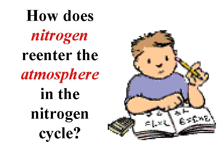 How does nitrogen reenter the atmosphere in the nitrogen cycle? 