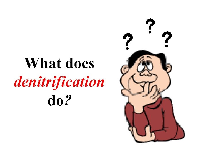 What does denitrification do? 