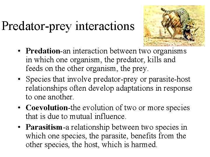 Predator-prey interactions • Predation-an interaction between two organisms in which one organism, the predator,