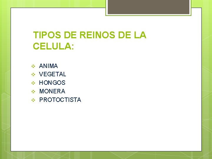 TIPOS DE REINOS DE LA CELULA: v v v ANIMA VEGETAL HONGOS MONERA PROTOCTISTA