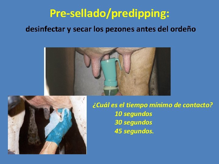 Pre-sellado/predipping: desinfectar y secar los pezones antes del ordeño ¿Cuál es el tiempo mínimo