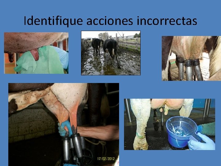 Identifique acciones incorrectas 