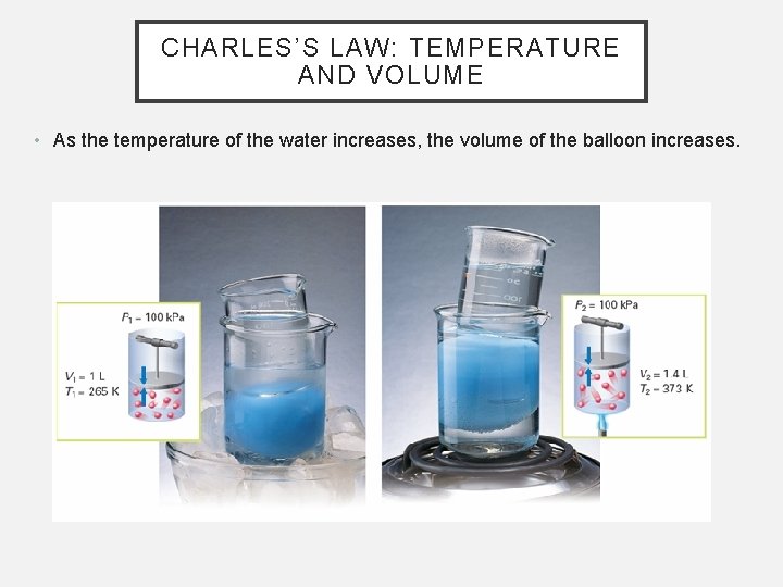 CHARLES’S LAW: TEMPERATURE AND VOLUME • As the temperature of the water increases, the