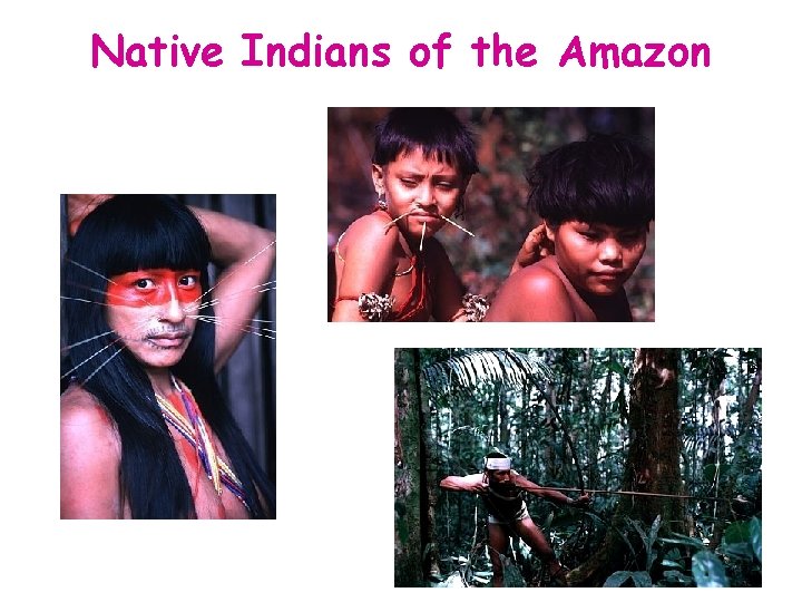 Native Indians of the Amazon 