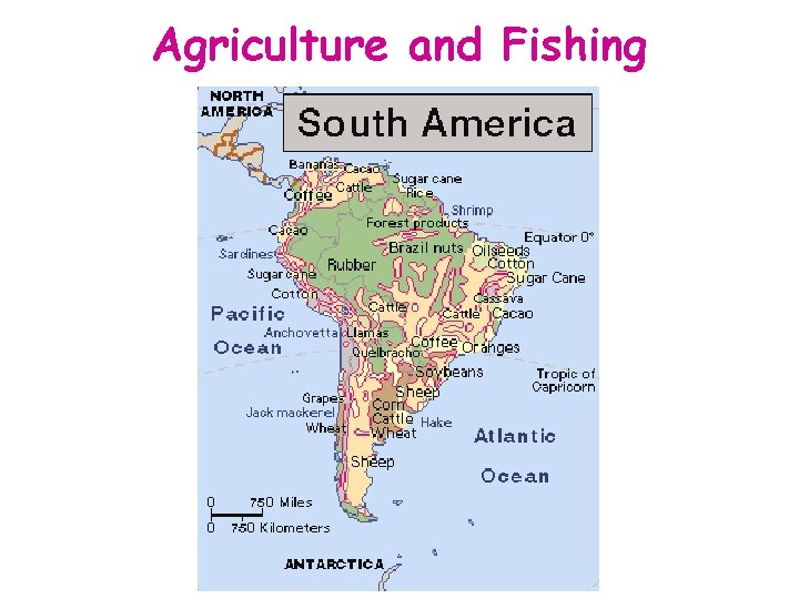 Agriculture and Fishing 