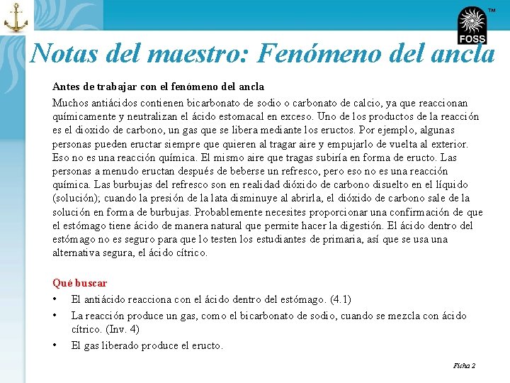 TM Notas del maestro: Fenómeno del ancla Antes de trabajar con el fenómeno del