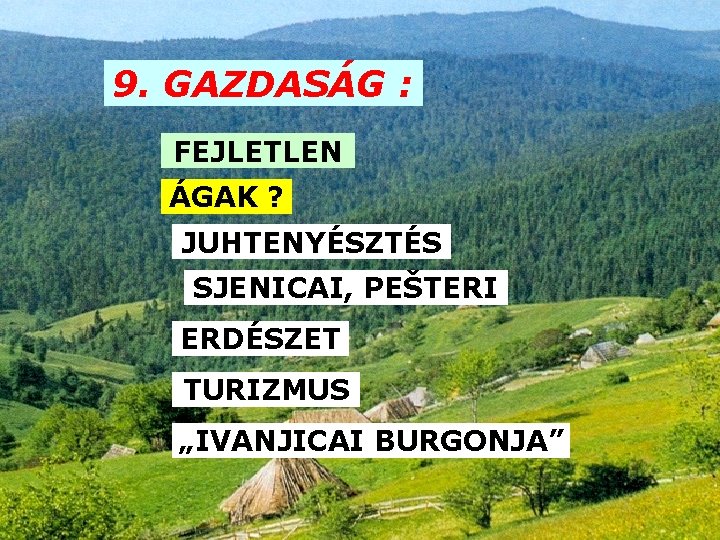 9. GAZDASÁG : FEJLETLEN ÁGAK ? JUHTENYÉSZTÉS SJENICAI, PEŠTERI ERDÉSZET TURIZMUS „IVANJICAI BURGONJA” 