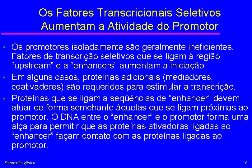 Os Fatores Transcricionais Seletivos Aumentam a Atividade do Promotor Os promotores isoladamente são geralmente