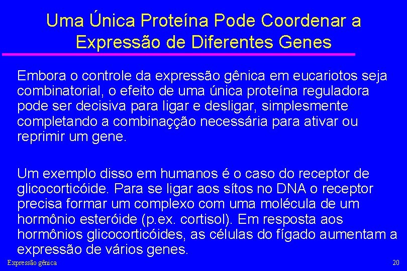 Uma Única Proteína Pode Coordenar a Expressão de Diferentes Genes Embora o controle da