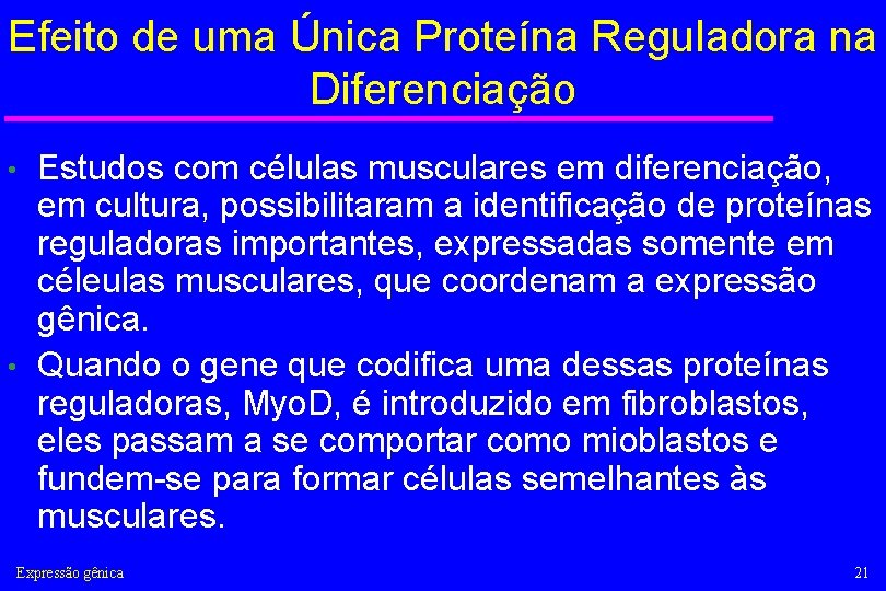 Efeito de uma Única Proteína Reguladora na Diferenciação Estudos com células musculares em diferenciação,