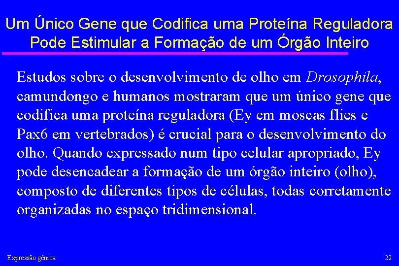 Um Único Gene que Codifica uma Proteína Reguladora Pode Estimular a Formação de um