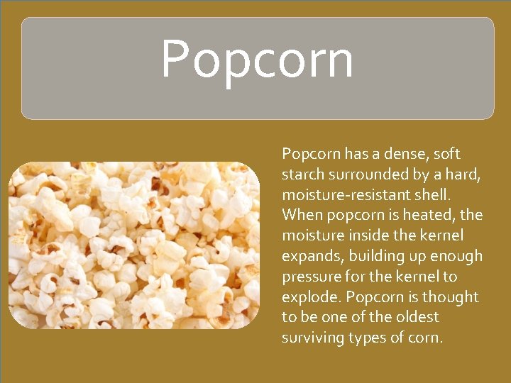 Popcorn has a dense, soft starch surrounded by a hard, moisture-resistant shell. When popcorn